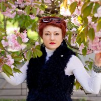 Сакуры :: Лана 