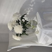 Белое на белом :: Галина Левина