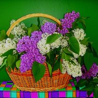 Майская     сирень... :: Галина Кузьмина