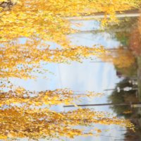 Осеннее :: Дмитрий Петров