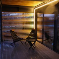 *** :: Евгения Каравашкина