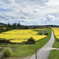 Мир Природы / Natural World" :: "The Natural World" Александер