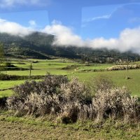 Мир Природы / Natural World" :: "The Natural World" Александер