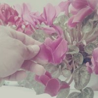 111 (122) :: СТРЕН 