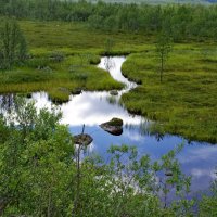 Ручей :: Сергей Швечков