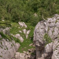 Природа Адыгеи :: Игорь Сикорский