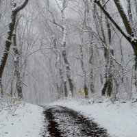 Первый снег...... :: Юрий Цыплятников