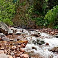 НАШИ ПРОГУЛКИ. :: Виктор Осипчук