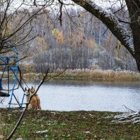 Первый снег :: Геннадий Фадеев Первый снег :: Геннадий Фадеев