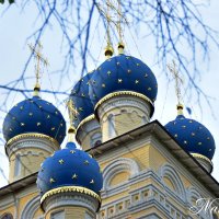 Купола. :: Наталья Вязигина