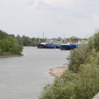 В Затоне с мечтой выйти на чистую воду... :: Сергей 