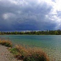 Переменчивый май... :: Галина 