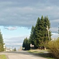 на склоне дня :: Ольга Конькова