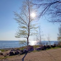 Дождались "у моря хорошей погоды" ☼ :: Лия ☼