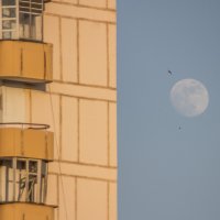 Совковая архитектура & птицы шныряющие у луны :: Коля Лукашов