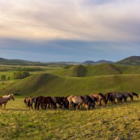 Доброе утро :: Максимка Доброе утро :: Максимка