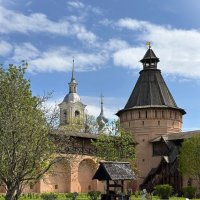 Спасо-Евфимиев монастырь :: Мария - Maria