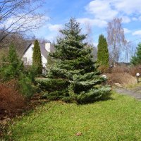 Токсово :: zavitok *