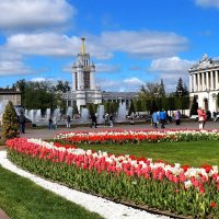 Павильоны, фонтаны тюльпаны. :: Татьяна Помогалова
