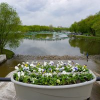 Царицынские пруды :: Ольга 