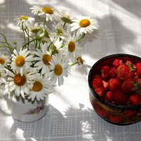 Лето! :: Нина Андронова