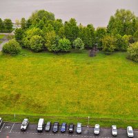 Одуванчиковая поляна,,,, :: Анатолий Колосов