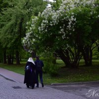 Таинственные посетители парка. :: Наталья Вязигина
