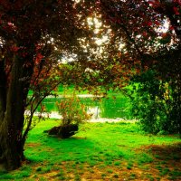 Парк Волуве(Parc de Woluwe) :: Aida10 