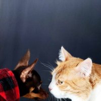 противостояние) новый сюжет для Марвел :: Александра Николаева