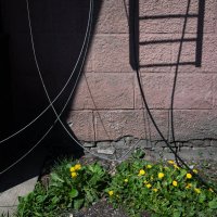 *** :: Валерий Михмель 