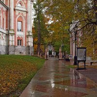 Берёзовая першпектива :: Игорь Белоногов Берёзовая першпектива :: Игорь Белоногов