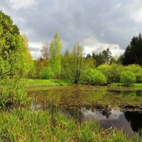 На пруду за городом :: Андрей Снегерёв