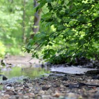 Камешки :: Николай (dr.Zlo) Кузнецов