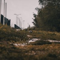 Одинокая птица :: Ярослав Теплов