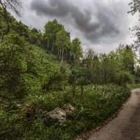 Хорошая дорога по ущелью :: LudMila 