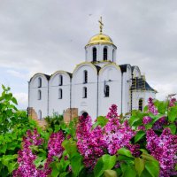 Городской пейзаж :: Галина Бобкина