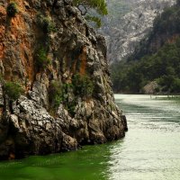 Зелёная,зелёная вода :: Юрий. Шмаков Зелёная,зелёная вода :: Юрий. Шмаков