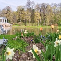 Весна :: Сапсан 