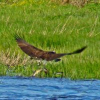 удачная рыбалка :: gawrilа - dan удачная рыбалка :: gawrilа - dan