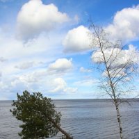 Ладожское Озеро :: Наталья Герасимова