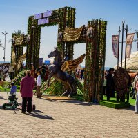 Лошадка :: Анатолий Чикчирный Лошадка :: Анатолий Чикчирный