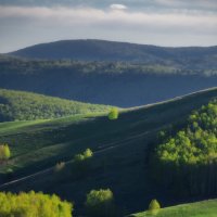 * :: Александр Иванов