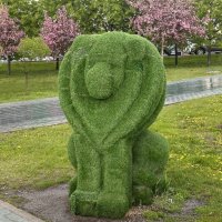 Царь зверей :: Oleg4618 Шутченко Царь зверей :: Oleg4618 Шутченко