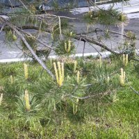 *** :: Oleg4618 Шутченко *** :: Oleg4618 Шутченко