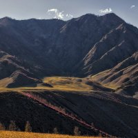 Свет уходящего дня. :: Марина Юдинских