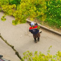 Надзор - как без него ! :: Юрий Куликов Надзор - как без него ! :: Юрий Куликов