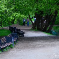 Покой и тишина в парке. :: Наталья Вязигина