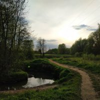 Похоже, погода налаживается :: Андрей Лукьянов