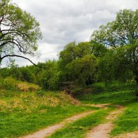 К берегу Днепра :: Милешкин Владимир Алексеевич 