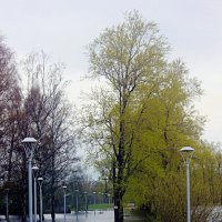 Весений день :: Сергей Кочнев